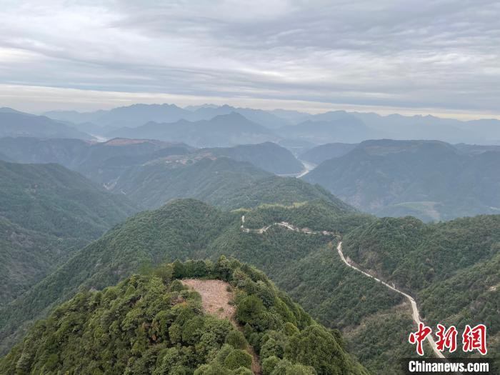 位于山顶的仙侠云居民宿窗外风光 童笑雨 摄