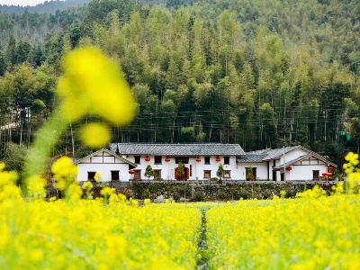 铜鼓：着力建设秀美乡村  奋力打造乡村振兴样板 