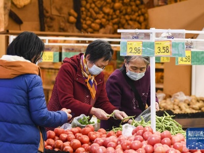 推动经济回稳向上——全国多地加快复工复产扫描-中新网