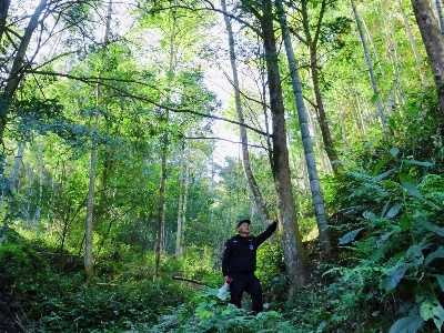 永宁八亩村：法治中的良治与善治