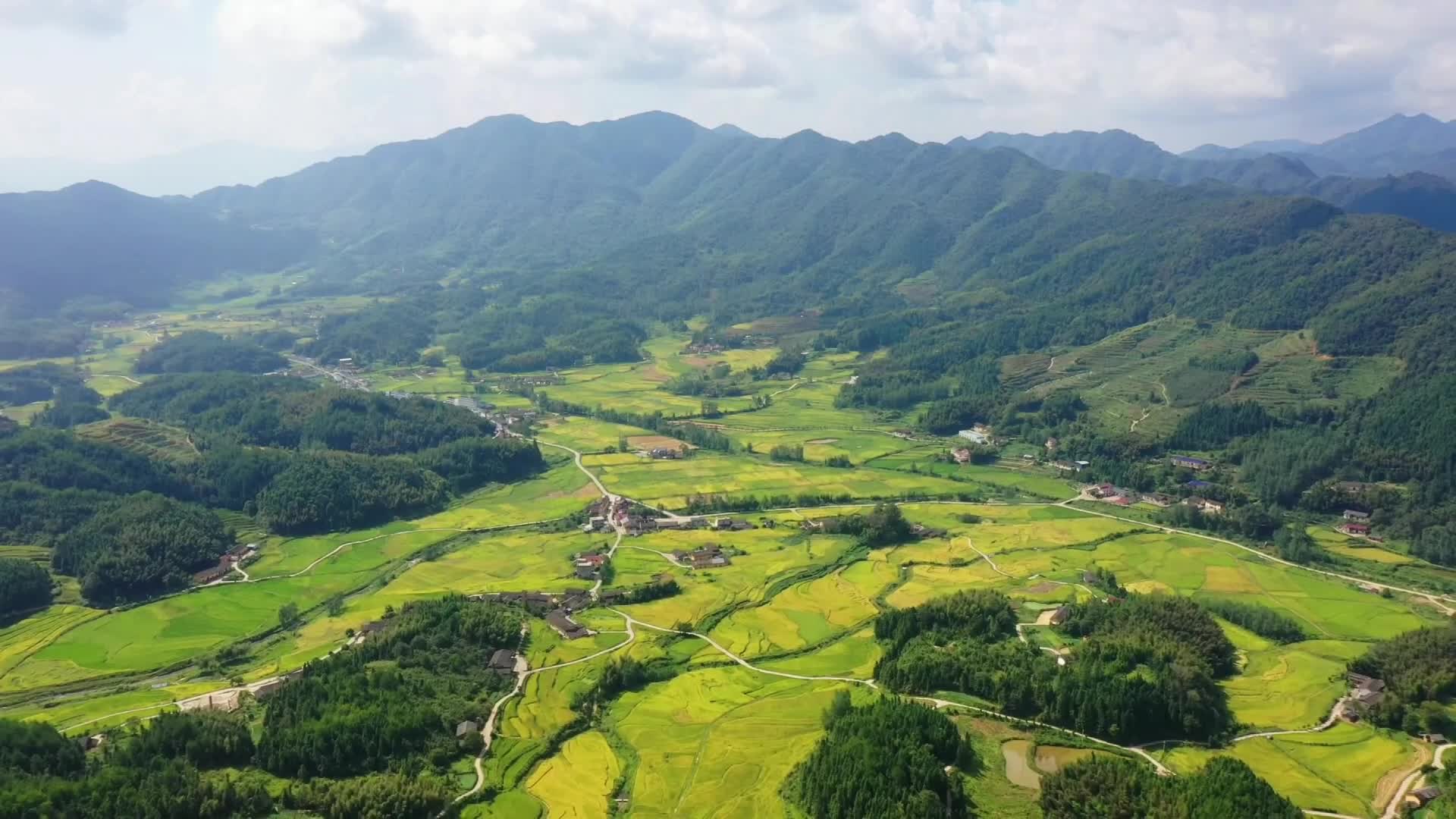 十万亩水稻陆续收割 迎来丰收盛景