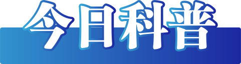 今日辟谣（2024年9月19日）